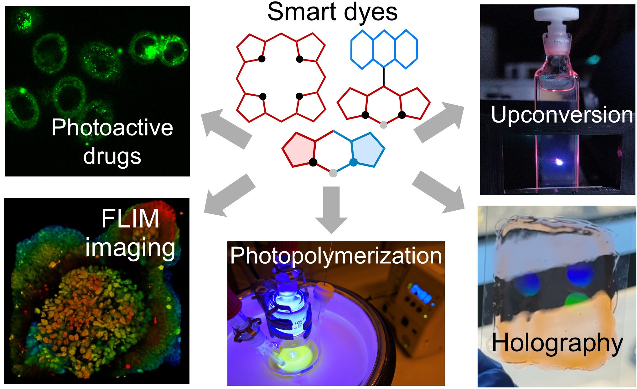 Applications of photoactive dyes in imaging, upconversion, photopolymerization, and holography